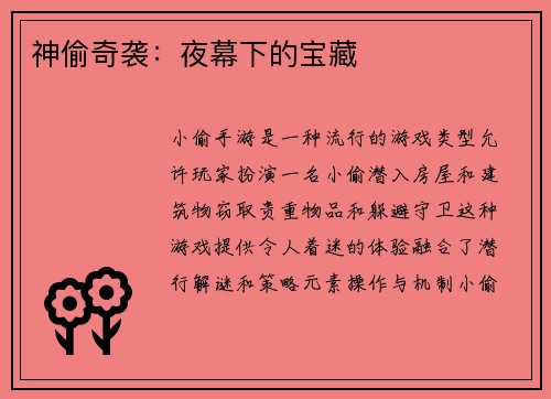 神偷奇袭：夜幕下的宝藏
